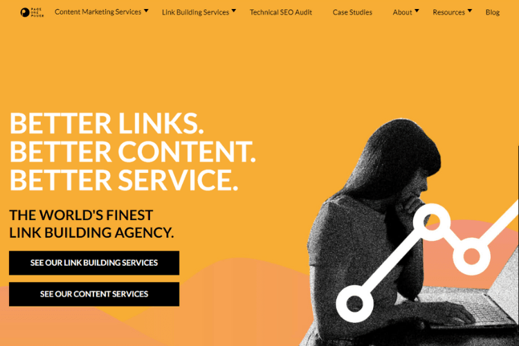 Page One Power Homepage