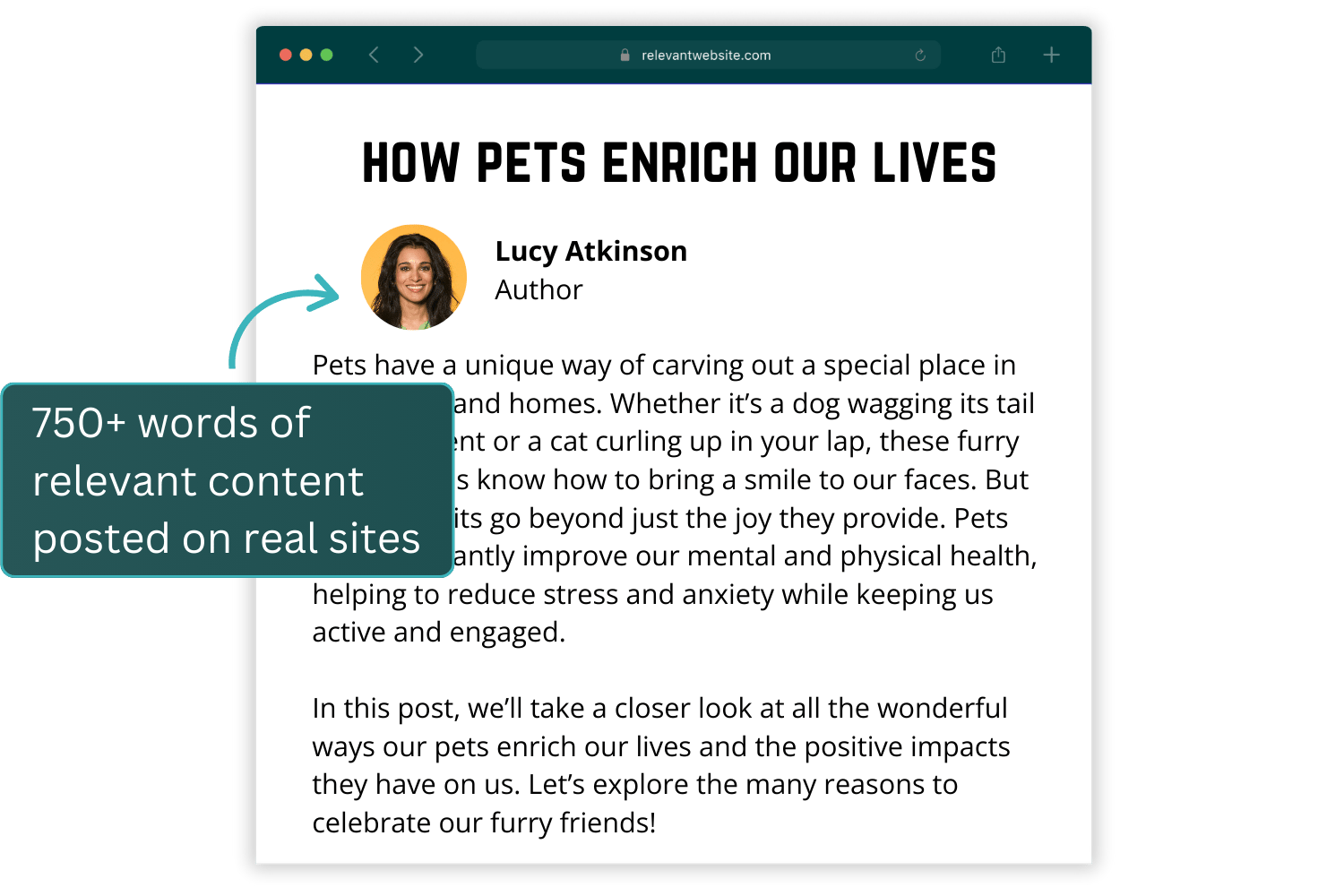 Infographic - Guest Posts example